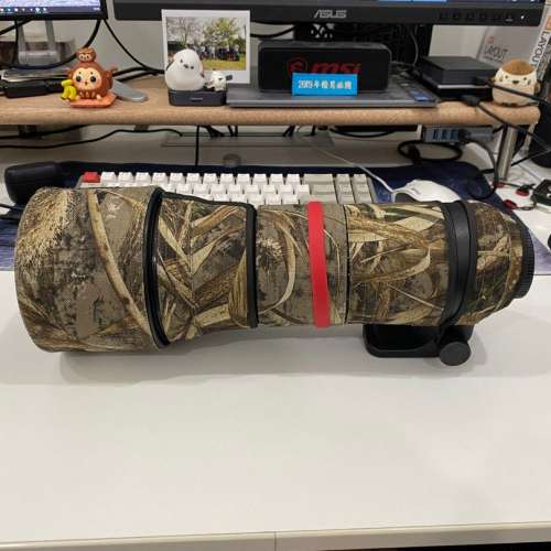 Sigma 150-600mm f/5-6.3 DG OS HSM | C Nikon F mount 打雀/追星/長焦