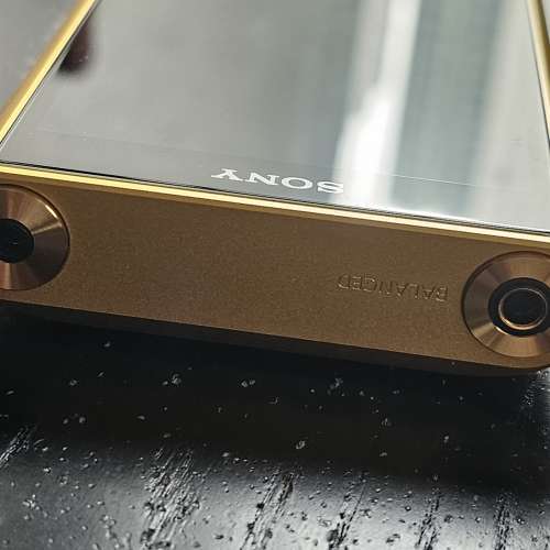 Sony NW-WM1ZM2 金磚2代