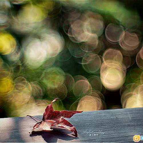 Taylor Hobson Cooke Telekinic Anastigmat 95mm f3.3 英國電影鏡改A7     (絕冇暗角)