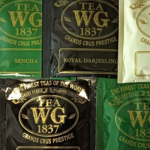 TEA WG 1837 茶包 4 款 50包