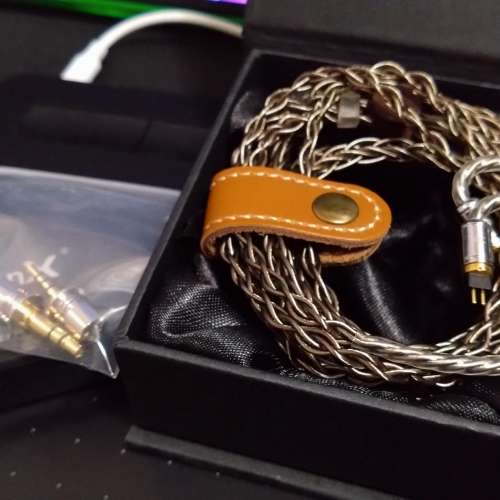 Whiplash Audio TWGF20 V2X 入耳式耳機線 升級線 金鍍銀 銀合金 8絞 2pin mmcx a2d...