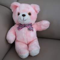 Teddy Bear Stuff Toys Soft Toys 粉紅 熊公仔 小熊毛公仔 身高約11吋 出口貨版 100%...
