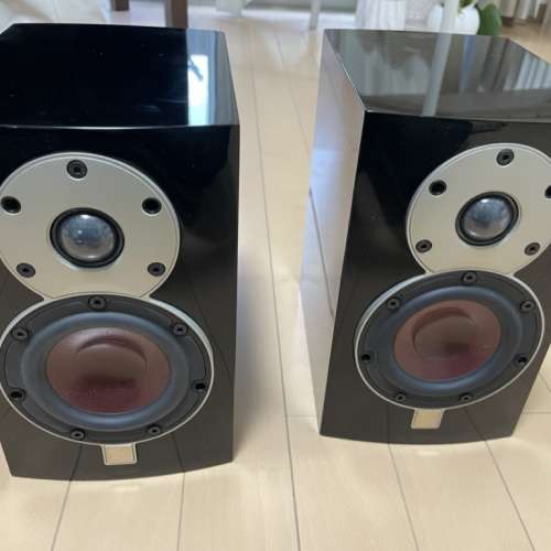 Dali Mentor Menuet 皇太子喇叭第六代