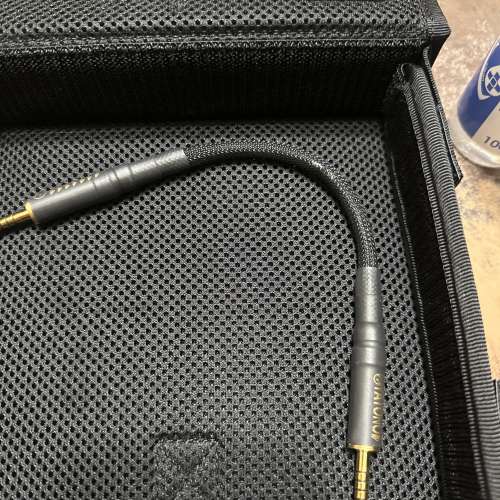 Brise Audio Yatono-Mini Ultimate 4.4 to 4.4過機線