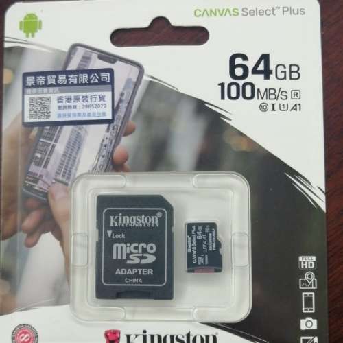 Kingston Micro SD