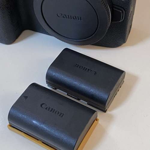 Canon EOS R 跟 Battery Grip BG-E22