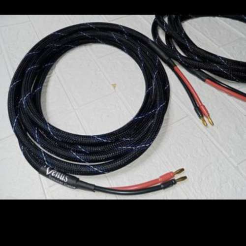 Venus speaker cable usa 4米1對.