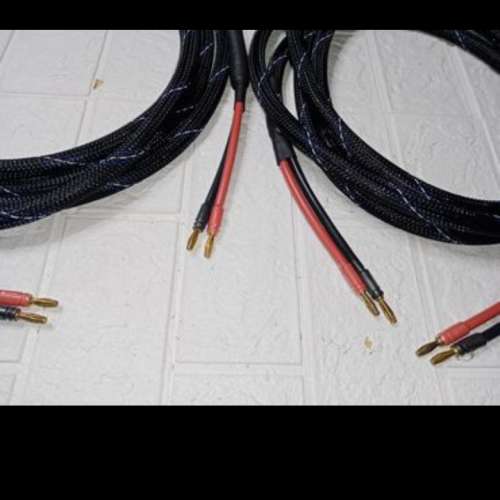Venus speaker cable usa 4米1對.