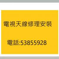 電視天線維修專家 ☎️53855928 高清天線安裝，村屋唐樓天線修理，安裝魚骨天線專家