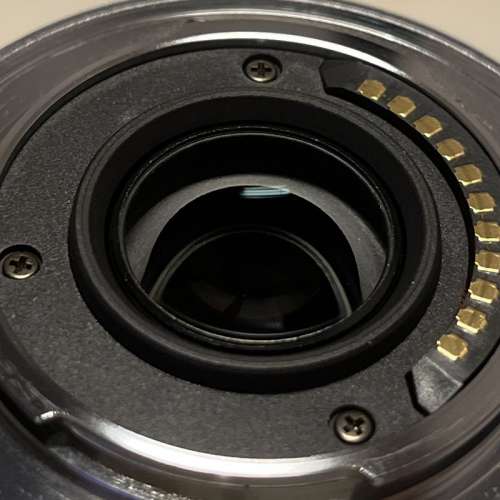 Panasonic Lumix G Vario 14-45mm f/3.5-5.6 ASPH/MEGA O.I.S. MIJ