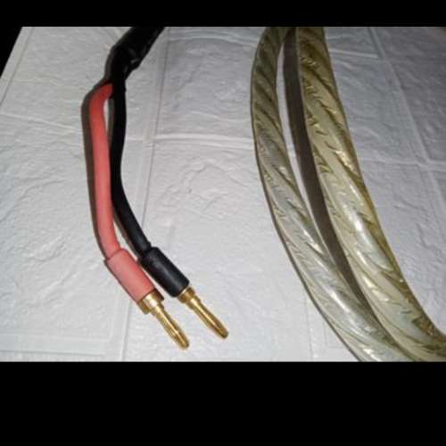 Liton audio cable with silver designed USA～2.5米～