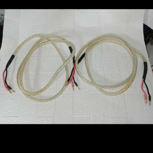 Liton audio cable with silver designed USA～2.5米～