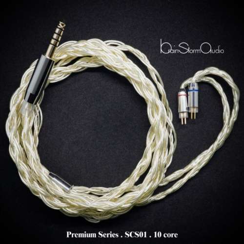 28mart 瘦佬 BSA Premium Series SCS01十絞單晶銀耳機升級線2pin 4.4