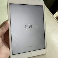 Apple iPad mini 1 WiFi 16G