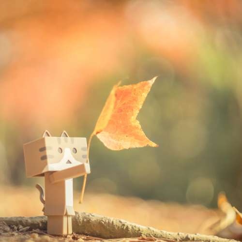 Carl Zeiss Jena Pancolar 50mm f1.8 淨鏡 連Sony E mount 接環