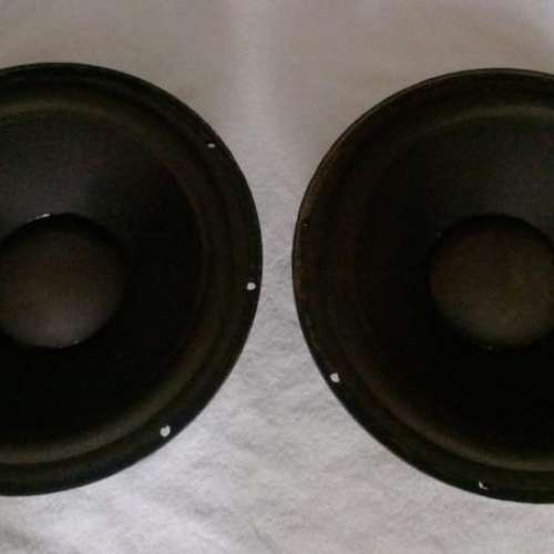 EV Electro Voice Sentry 500 低音