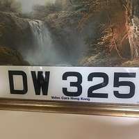 DW325車牌