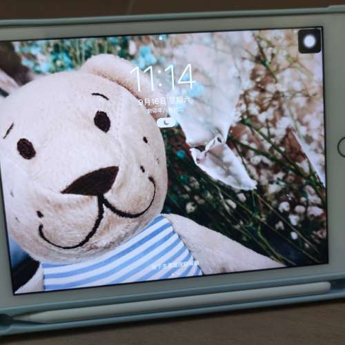 Apple IPad Mini 4 WiFi 64G (Gold) with Original Box, Charger, compatible pen and