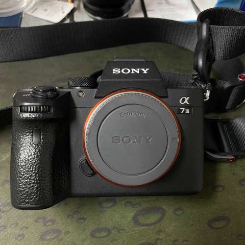 Sony A73 A7m3 連Peak Design Slide Lite