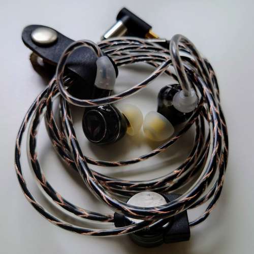 Dita Perpetua 單動圈耳機 可換耳機