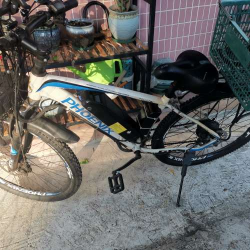 鳳凰電動自行車