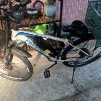 鳳凰電動自行車