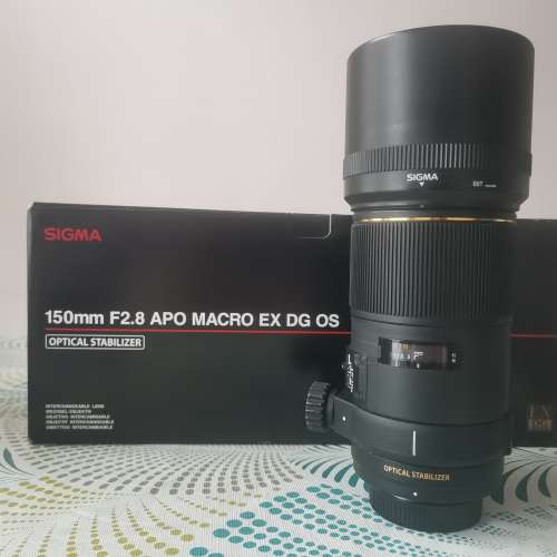 Sigma 150mm 微距鏡