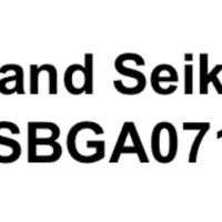 Seiko 限量200只 SBGA071