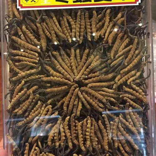 全港十八區收購海味幹貨滋補品 回收冬蟲夏草 花膠 燕窩 禮品