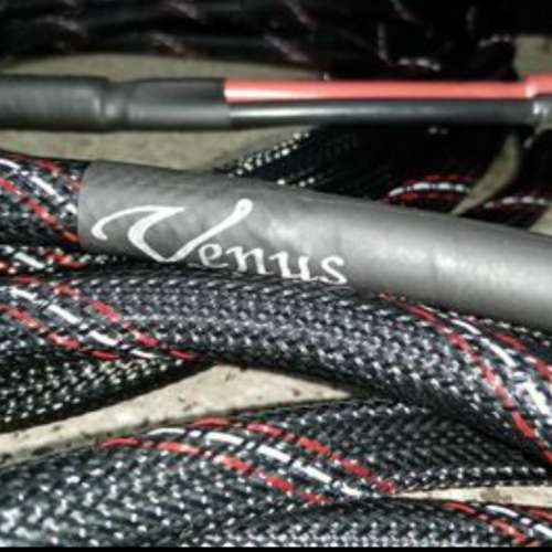 Venus speaker cable 3.9米1對 蕉頭