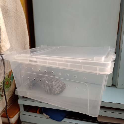 養昆蟲的箱連飾物（12x6吋）$50