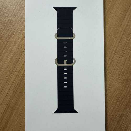 Apple Watch Ultra 2 錶帶 海洋