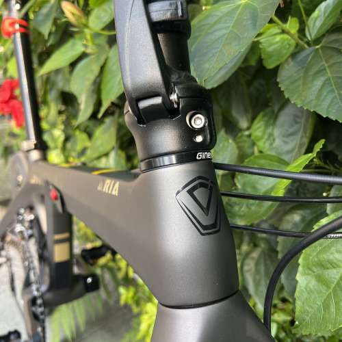 JAVA ARIA 18S ALTUS M2000變速 20吋 碳纖維 折叠車 送前後蛙燈叮叮