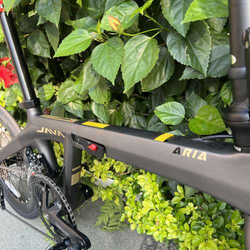 JAVA ARIA 18S ALTUS M2000變速 20吋 碳纖維 折叠車 送前後蛙燈叮叮