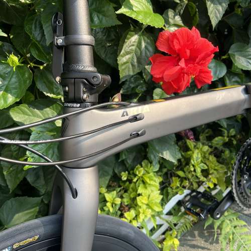 JAVA ARIA 18S ALTUS M2000變速 20吋 碳纖維 折叠車 送前後蛙燈叮叮