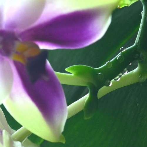 放逾95%新微塵NIKON AF 28-105mm f3.5-4.5D微距鏡連盒及保用証全套=$900