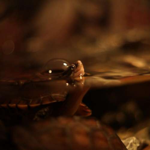 Multicoated 85mm f2.8（電影鏡）M42