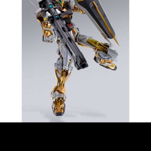 Metal Build 金迷惘 + 聖約背包