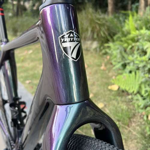 騅特 新款 TWITTER GRAVEL X 11速/ 24速 桶軸碟剎 平把 碳纖維 公路車 送水架前後蛙...