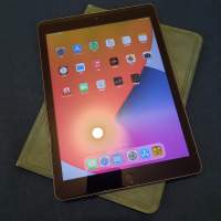 Apple iPad 5th Gen 第五代 32GB 連 弧邊玻璃貼 保護套