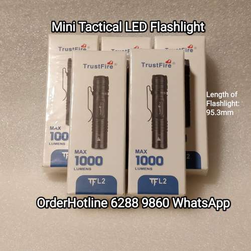 Mini Flashlight 🔦 Torch 迷你電筒. 可充電 兼容AA電池。TrustFire L2 Tactical L...