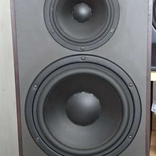 Dynaudio Audience 9 座地音箱