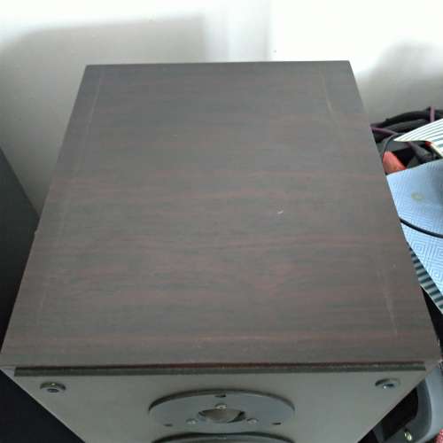 Dynaudio Audience 9 座地音箱