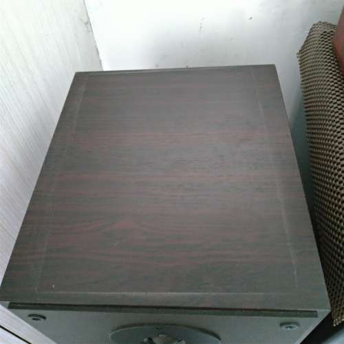 Dynaudio Audience 9 座地音箱