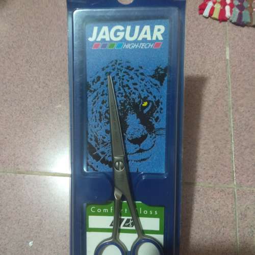 Jaguar stain plus 5.5