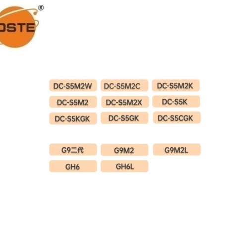 DSTE PANASONIC DMW-BLK22 Lithium-Ion Battery Pack 代用鋰電池 ( 2400mAh)