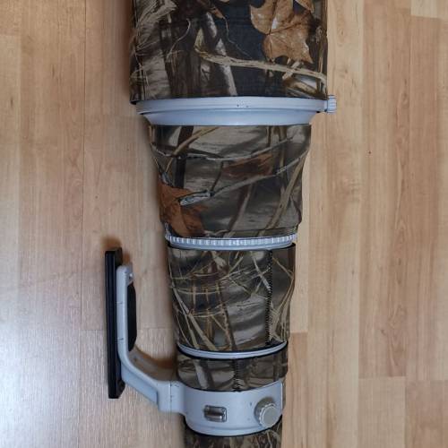 canon 1D mark IV+EF600mm f/4 II(第二代)