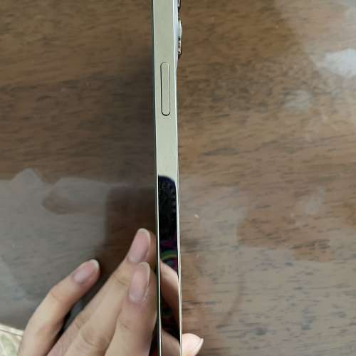 iPhone 12 Pro max 256gb