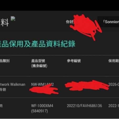 Sony WF-1000XM4 真無線耳機