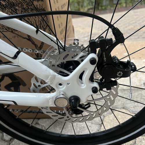 DAHON KBA083 LANCH D8 8速 20吋 碟剎 鋁合金 折叠車 送水架前後蛙燈叮叮